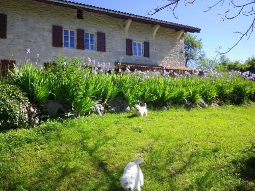 Chevillard Lit Et Petit-Déjeuner | Chambre d'hôtes La Haie Fleurie