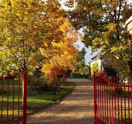 La Foret Du Parc Lit Et Petit-Déjeuner | Chambre d'hôtes - Le jardin des Patissons