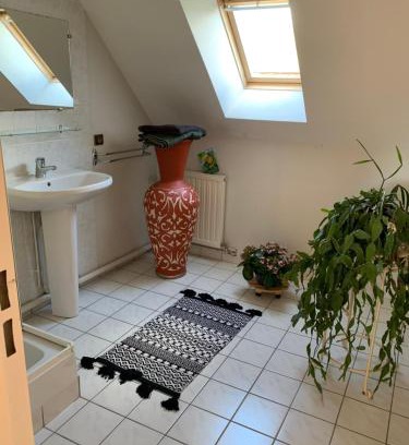 Ruaudin Maison | Chambres à louer