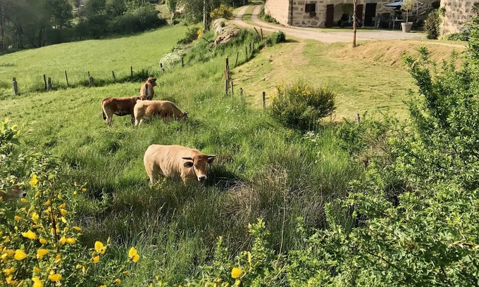 Aumont-Aubrac Maison | Maison de caractère aux portes de l'Aubrac