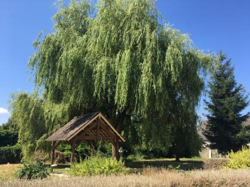Saint-Pierre-le-Moutier Appartement | Charmant T2 RDC dans résidence avec parc arboré