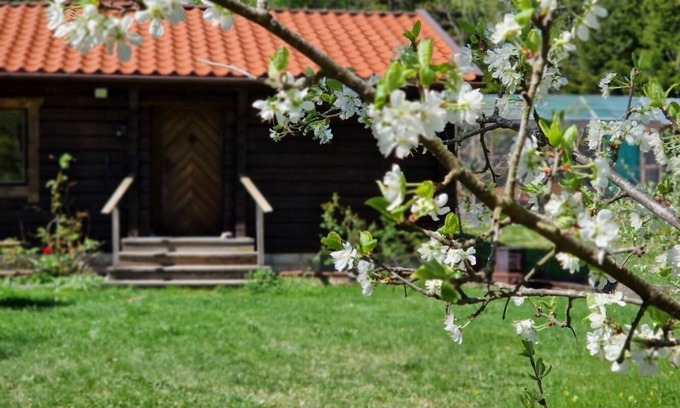 Upplands Vasby Municipality Cabine | Charmig Stuga Mitt i Naturen!