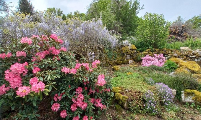 Saint-Agnant-pres-Crocq Maison | Charmante maison de campagne près de la forêt avec piscine et jardin privé