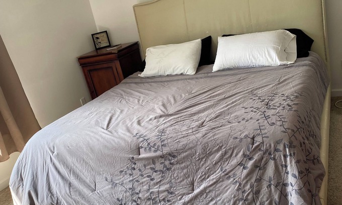 DeKalb Maison | Charming 3-bedroom townhome in delightful DeKalb with WiFi, AC