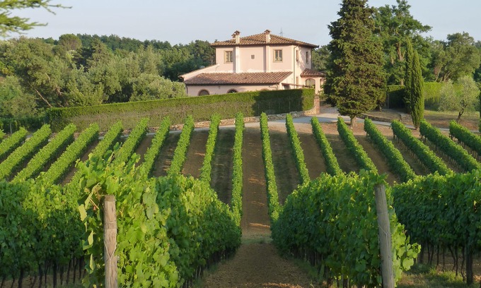 Crespina Autre | Charming and comfortable apartment in organic winery