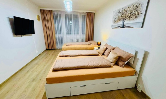 Prague 3 Appartement | Charming apart near Center
