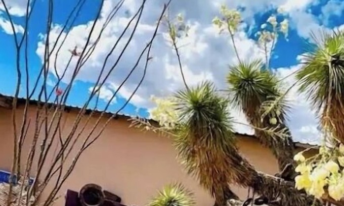 Van Horn Maison | Charming bungalow with WiFi and AC in welcoming Van Horn
