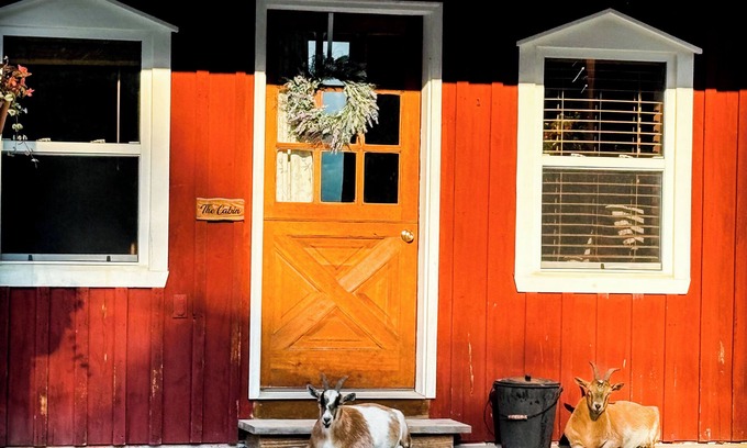 Portage Maison | Charming Cabin on horse farm minutes from Letchworth State park