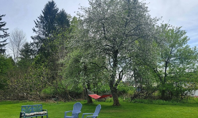 Allegany Maison | Charming Classic Village Home walking distance to St. Bonaventure University