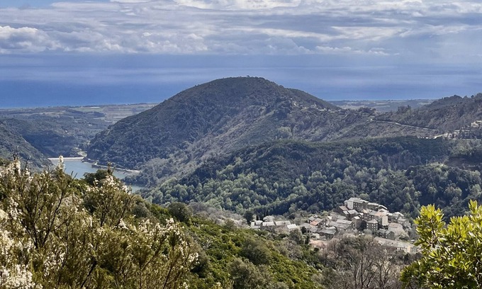 Pietra-di-Verde Maison | Maison de charme corse#
