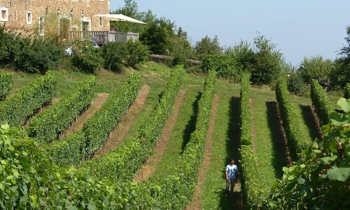Lucq-de-Bearn Maison | Maison de famille de Charme - Ferme béarnaise du 18ème restaurée