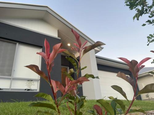 Griffin Maison | Charming Home in Griffin for Unforgettable stay