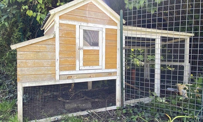La Ferte-en-Ouche Cottage | Maison Authentique avec Jardin Clos, Proche Ferme et Chevaux, Tout Inclus, Animaux Acceptés