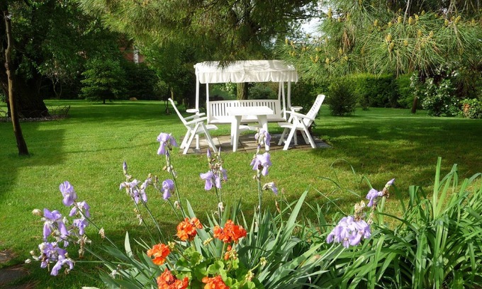 Cortona Villa | Charmante petite villa près de Cortona, jardin, oliveraie, Wifi. Climatisation