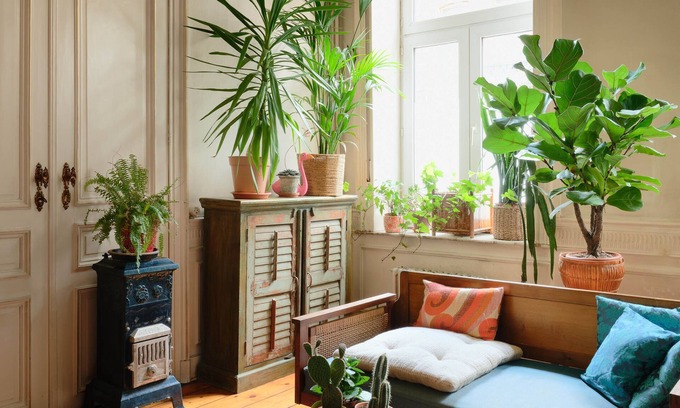 Begijnhof's Wijk Maison | Charming spacious house with leafy garden close to downtown Brussels