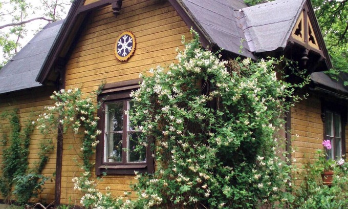 Drottningholm Cabine | Charming Swiss Retreat with Garden, 3 minutes from the lake