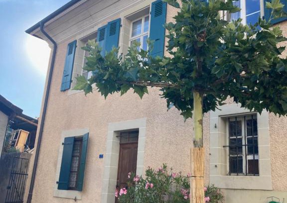 Mont-sur-Rolle Maison | Charming Vinyard House - Lake Geneva
