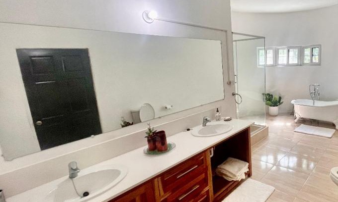 Albion Maison | Chasucourt