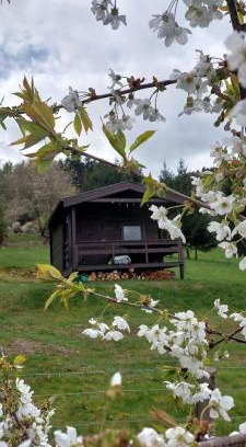 Vrhavec Chalet De Ski | Chata na samotě, Šumava