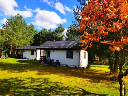Bukowiec Maison | Chatki Leśniczego