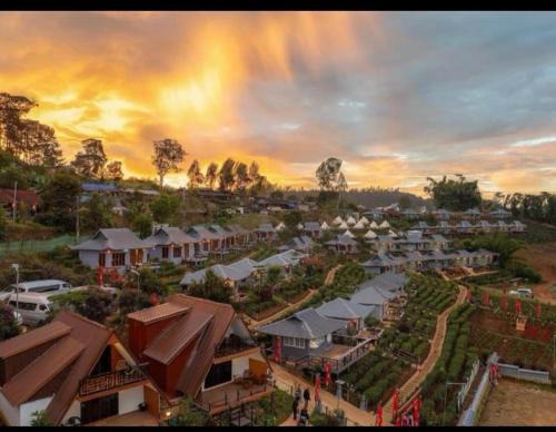 Mok Cham Pae Hôtel | Chenfong Rakthai Resort-ไร่ชาเฉินฟงรีสอร์ท