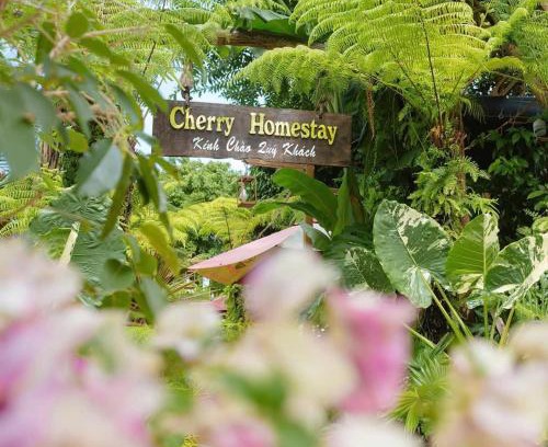 Buon Ma Thuot Lit Et Petit-Déjeuner | Cherry homestay bmt phòng đôi gia đình