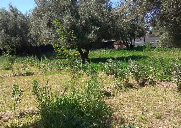 Saada Maison | Chez Naima et Salah