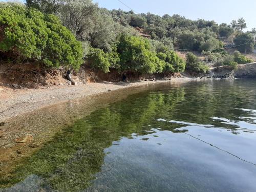Pella Region Maison | Chiona΄s Apartments by the Sea