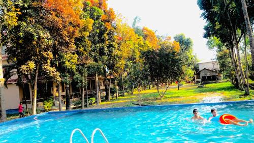 Sauraha Station Balnéaire | Chitwan Forest Resort , Chitwan National Park