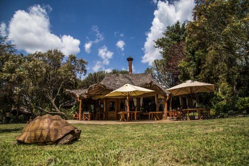 Naivasha Cabine | Chui Lodge