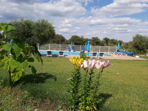 Pinhel Maison | Cidadelhe Rupestre Turismo Rural