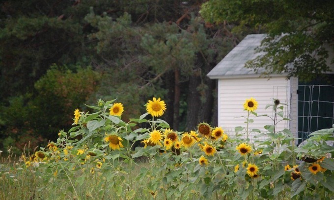 Jefferson Lit Et Petit-Déjeuner | Clary Lake Bed and Breakfast