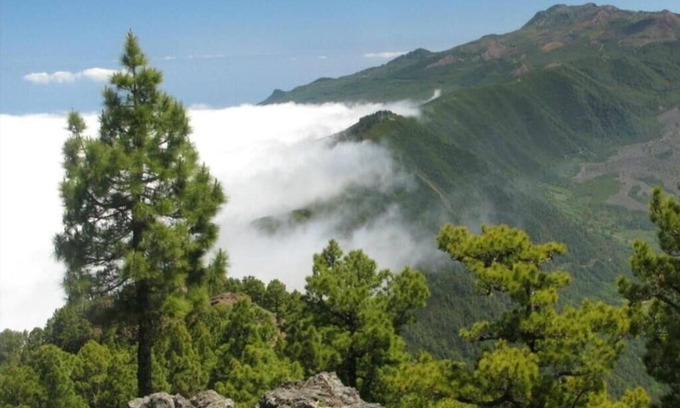 Santa Cruz de la Palma Appartement | Appartement classique à Santa Cruz de La Palma OFFRE 12 au 21 juin