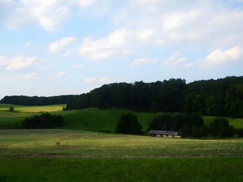 Wilhelmsthal Appartement | Clausberg Ferienwohnungen
