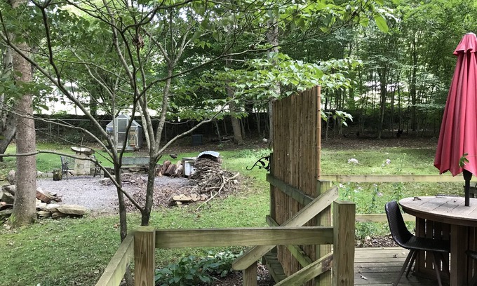 Barnardsville Maison | Clean cabin on beautiful property.