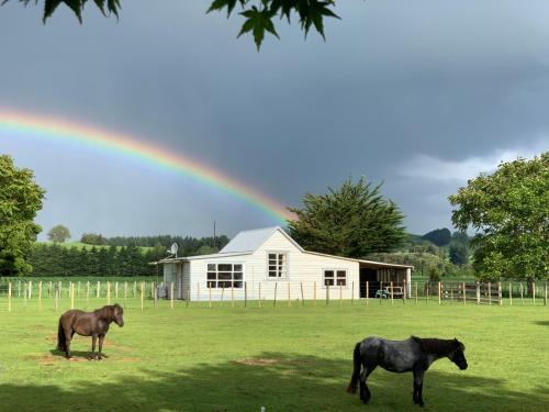 Ohingaiti Maison | Cliff Top Cottage