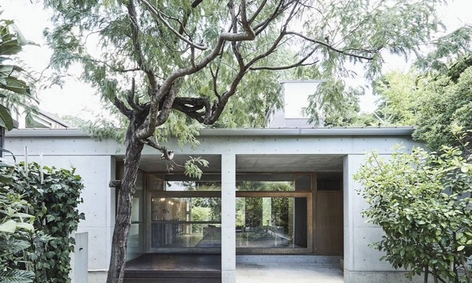 Nara Maison | Close to Todaiji Temple Private mansion with saun / Nara Nara