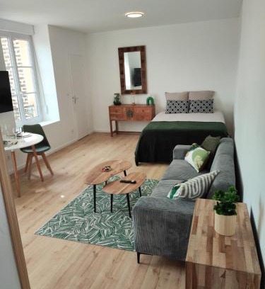 Charleville-Mezieres Appartement | CMG Studio 202 XL Petit Bois Place Ducale