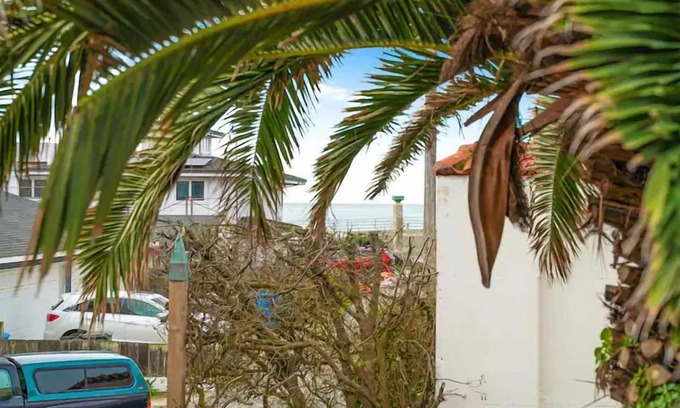 Sharp Park Appartement | Coastal Palm Tree 2BR Retreat Ocean View