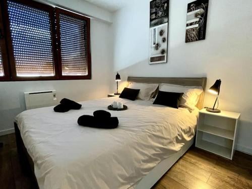 Albertville Appartement | coccon center