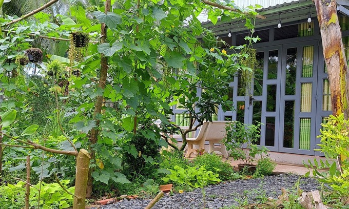 Giong Trom Maison | Coco Happy Farmstay
