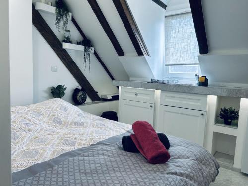 Foret Noire Appartement | Cocon au cœur de Strasbourg