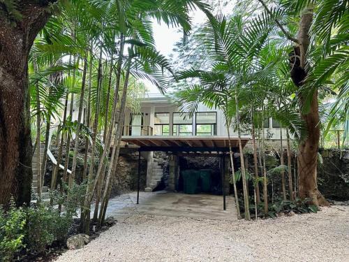 Southwest Coconut Grove Maison | Coconut Grove Mid-Century Jungle Oasis