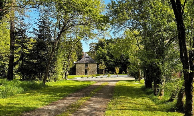 Ferce Maison | Gîte cocooning au milieu de la forêt