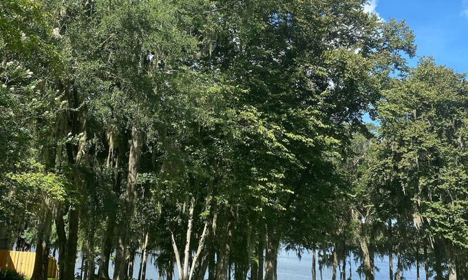 Lake Park Maison | Come stay and relax at the elegant Bienvenue Bed and Breakfast Inn