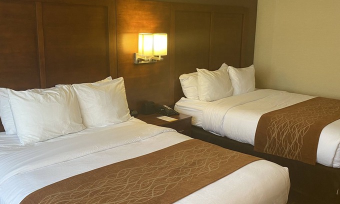 Springfield Hôtel | Comfort Inn - Springfield