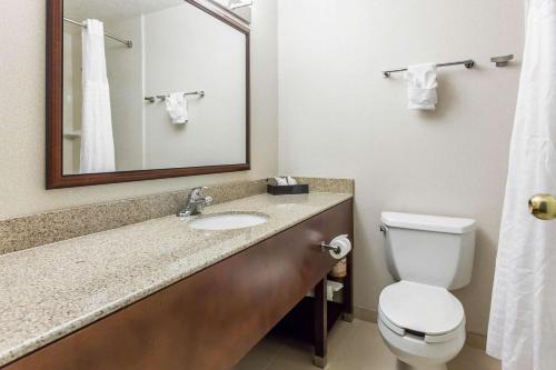 Fallon Hôtel | Comfort Inn & Suites Near Fallon Naval Air Station
