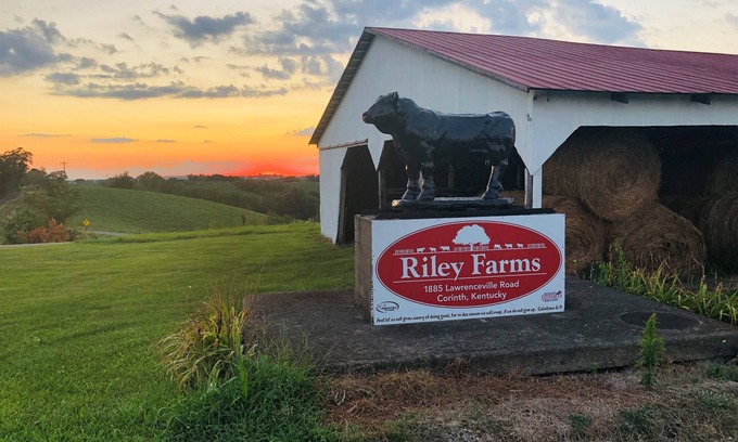 Jonesville Maison | Comfort & Rest @Riley Farms, ❤ of the Bluegrass- 12 mins from Ark, w/Hot Tub