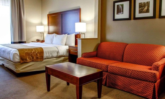 Gadsden Hôtel | Comfort Suites Gadsden Attalla
