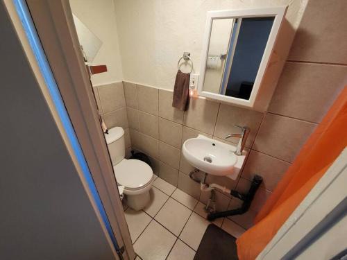 Bloomfield Appartement | Comfortable Apartment - Pittsburgh's Little Italy